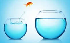 Microsoft Support für Windows 10 beendet – wie geht es weiter?